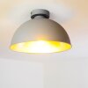 Saro Ceiling Light grey, 1-light source
