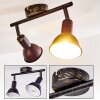 POLMAK ceiling spotlight black-gold, 2-light sources