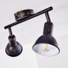 POLMAK ceiling spotlight black-gold, 2-light sources