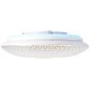 Brilliant LUCIAN Ceiling Light LED white, 1-light source, Remote control, Colour changer
