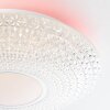 Brilliant LUCIAN Ceiling Light LED white, 1-light source, Remote control, Colour changer