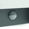 Philips myGarden ARBOUR Wall Light LED grey, 1-light source