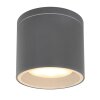 Outdoor Ceiling light Globo ALCALA anthracite, 1-light source
