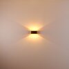 Wall Light Dapp black-gold, 1-light source