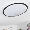 VEJLE Ceiling Light LED white, 2-light sources, Colour changer