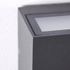 DULUTH Outdoor Wall Light LED anthracite, 1-light source