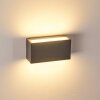 DULUTH Outdoor Wall Light LED anthracite, 1-light source