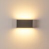 DULUTH Outdoor Wall Light LED anthracite, 1-light source
