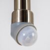 Elima Outdoor Wall Light stainless steel, 1-light source, Motion sensor