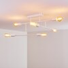 Cahaba Ceiling Light white, 6-light sources