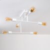 Cahaba Ceiling Light white, 6-light sources