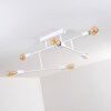 Cahaba Ceiling Light white, 6-light sources