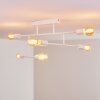 Cahaba Ceiling Light white, 6-light sources