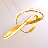 Woyens Pendant Light LED gold, 1-light source
