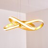 Woyens Pendant Light LED gold, 1-light source