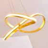 Woyens Pendant Light LED gold, 1-light source
