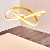 Woyens Pendant Light LED gold, 1-light source