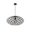 Lucide WOLFRAM Pendant Light black, 1-light source