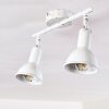 POLMAK ceiling spotlight gold, white, 2-light sources