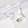 POLMAK ceiling spotlight gold, white, 2-light sources