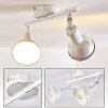 POLMAK ceiling spotlight gold, white, 2-light sources