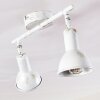 POLMAK ceiling spotlight gold, white, 2-light sources