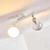 POLMAK ceiling spotlight gold, white, 2-light sources