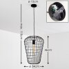 FLAMBEAU Pendant Light black, 1-light source
