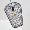 FLAMBEAU Pendant Light black, 1-light source