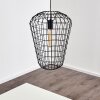FLAMBEAU Pendant Light black, 1-light source