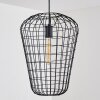 FLAMBEAU Pendant Light black, 1-light source