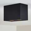Baishan Ceiling Light black, 2-light sources