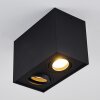 Baishan Ceiling Light black, 2-light sources
