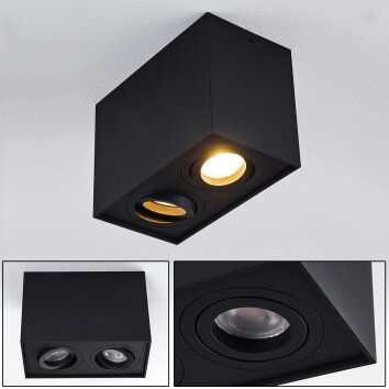 Baishan Ceiling Light black, 2-light sources