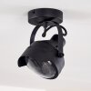 RAHWAY Ceiling Light black, 1-light source