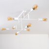 Cahaba Ceiling Light white, 8-light sources