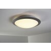 Trio 6265 ceiling light LED titanium, white, 1-light source