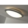 Trio 6265 ceiling light LED titanium, white, 1-light source