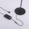 Leuchten-Direkt CURLS Floor Lamp LED black, 2-light sources