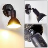 POLMAK wall spotlight black-gold, 1-light source