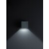 Helestra SIRI 44 Wall Light LED black, 1-light source