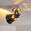 Berkeley Ceiling Light Light wood, black, black-gold, 1-light source