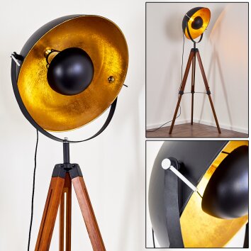 Jupiter Floor Lamp brown, Dark wood, black, 1-light source