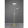 Reality ORSON Floor Lamp LED brass, 2-light sources