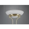 Reality ORSON Floor Lamp LED brass, 2-light sources