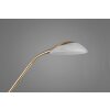 Reality ORSON Floor Lamp LED brass, 2-light sources