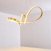 Woyens Pendant Light LED gold, 1-light source