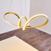 Woyens Pendant Light LED gold, 1-light source