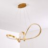 Woyens Pendant Light LED gold, 1-light source