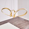 Woyens Pendant Light LED gold, 1-light source